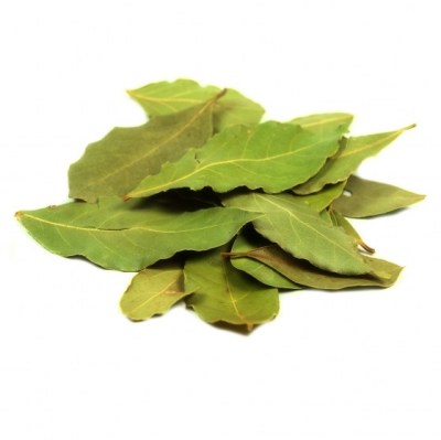 bay leaf4.jpg